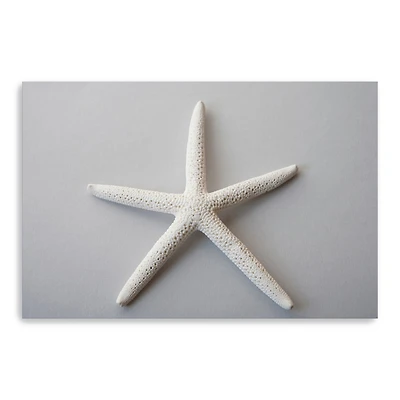 Sand Star Canvas Giclee