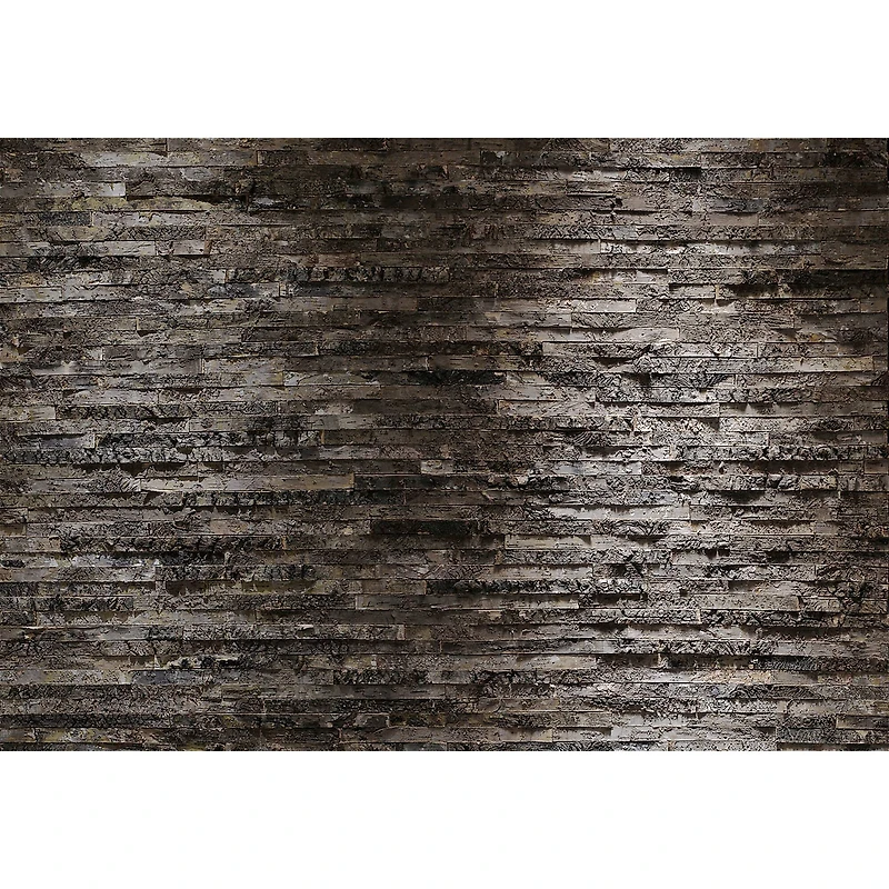 Komar Birkenrinde Wall Mural