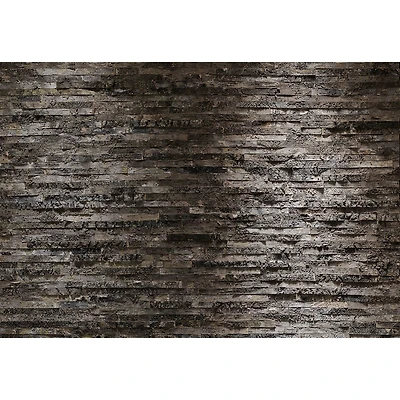 Komar Birkenrinde Wall Mural