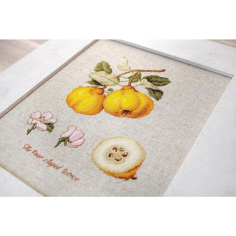 Luca-s The Pear Shaped Quince Counted Cross Stitch Kit