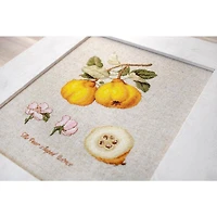 Luca-s The Pear Shaped Quince Counted Cross Stitch Kit
