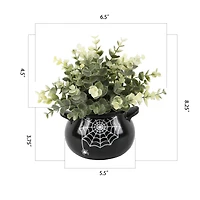 Flora Bunda® Eucalyptus in Spider Web Cauldron