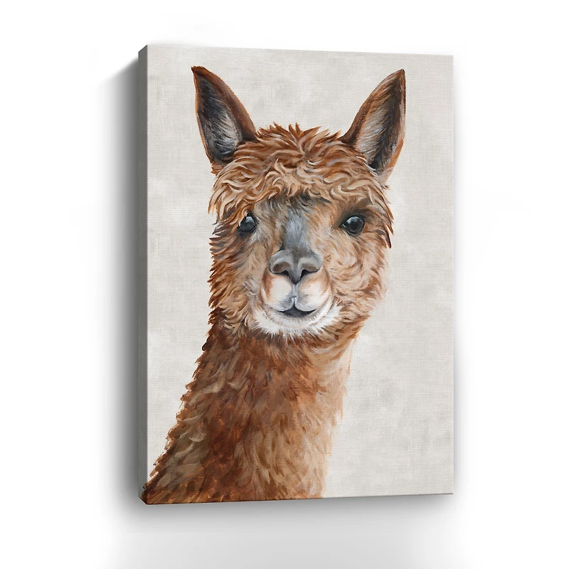 Lumaprints Suri Alpaca II Canvas Giclée