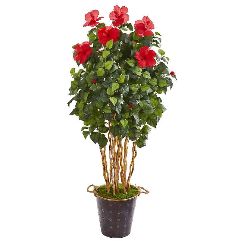 5.2ft. Hibiscus Tree in Decorative Planter