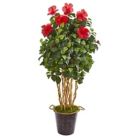 5.2ft. Hibiscus Tree in Decorative Planter