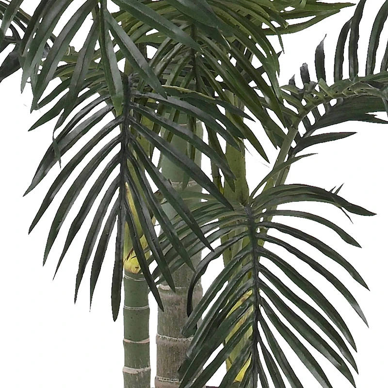 6.5ft. Potted Golden Cane Palm Tree