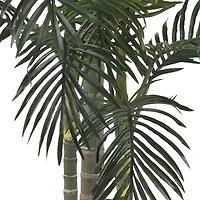 6.5ft. Potted Golden Cane Palm Tree