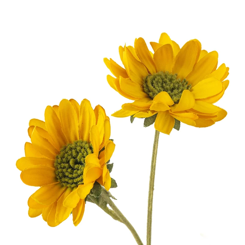 12 Pack: Gold Daisy Mum Spray by Ashland®