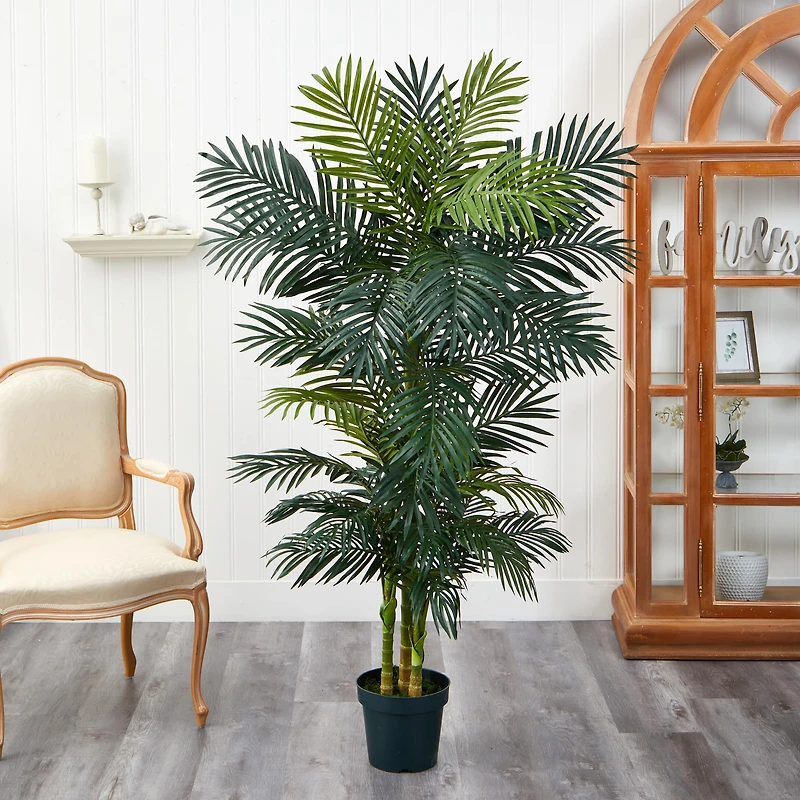 6.5ft. Potted Golden Cane Palm Tree