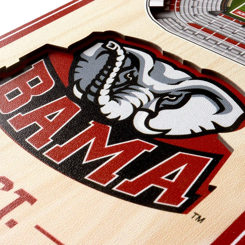 NCAA 6" x 19" StadiumView 3D Banner