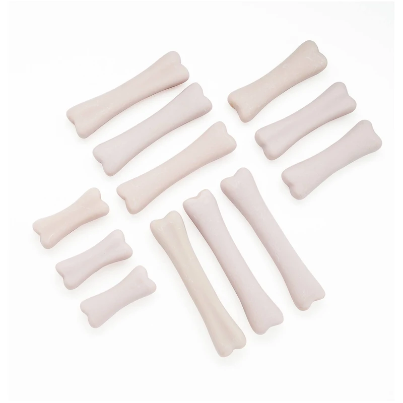 Yellow Door Dinosaur Bones Discovery Set