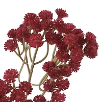 29" Burgundy Baby's Breath Stem by Ashland®
