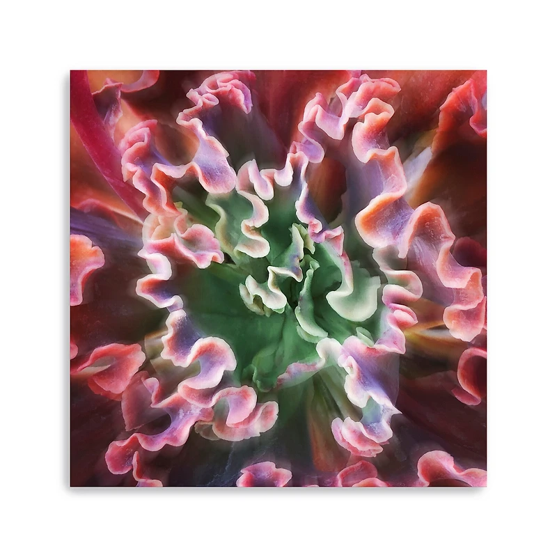 Lumaprints Rippled Edges Canvas Wall Art