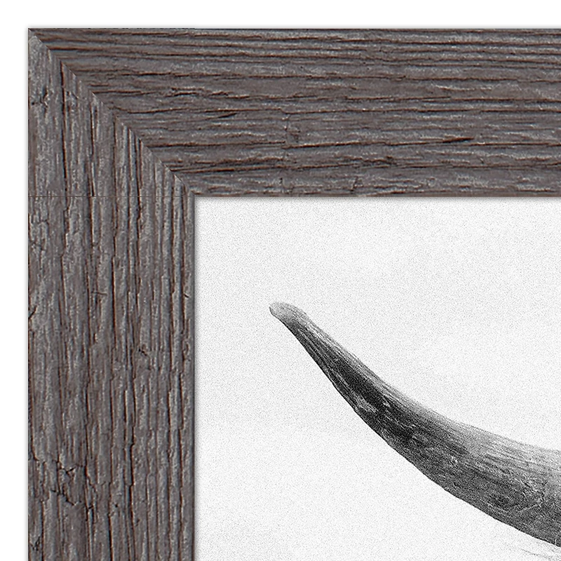 Black and White Highland Cow 20" x 24" Western Gray Framed Print