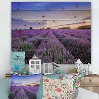 Designart - Sunrise & Dramatic Clouds Over Lavender Field II