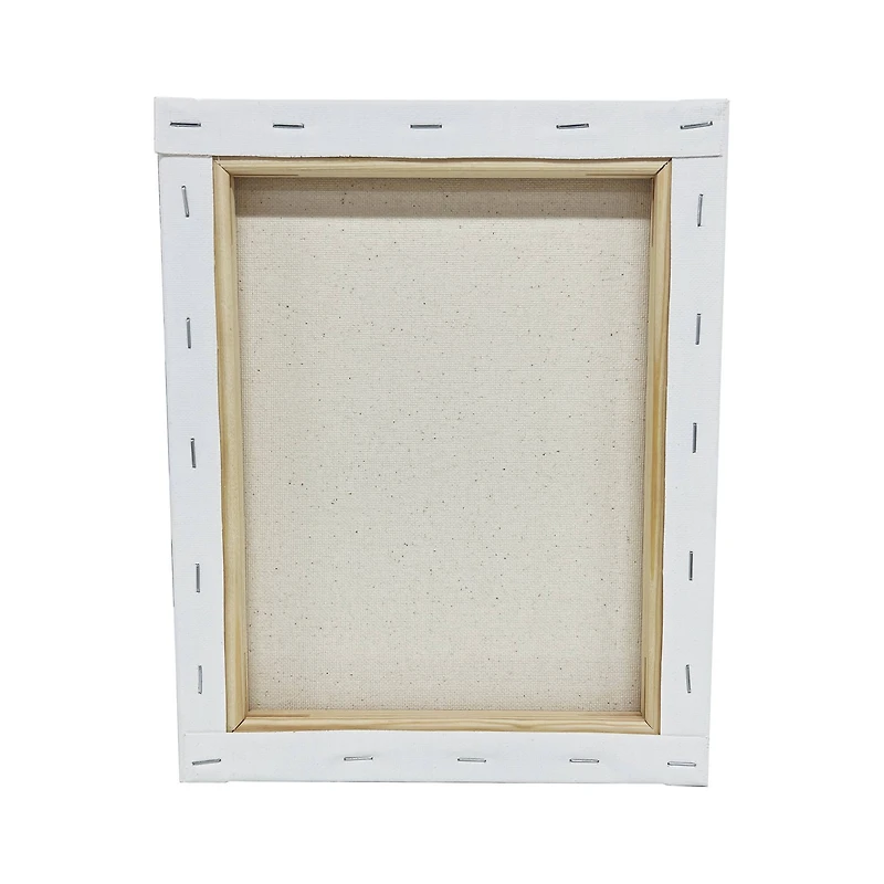 10 Pack 8" x 10" Super Value Canvas by Artist's Loft®