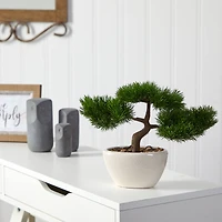 10" Cedar Bonsai Tree in White Planter