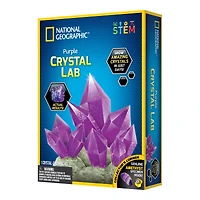 12 Pack: National Geographic™ Purple Crystal Lab