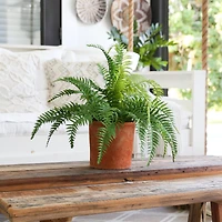 22" Artificial Fern Plant in Decorative Planter
