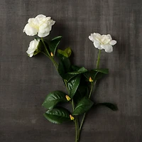 12 Pack: White Gardenia Spray by Ashland®