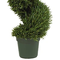 4ft. Potted Rosemary Spiral Tree