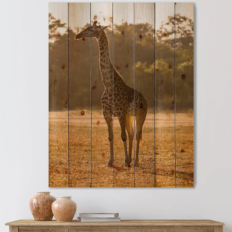 Designart - African Giraffe In The Wild II