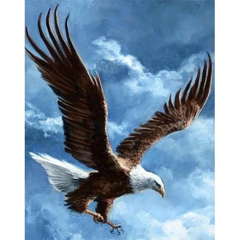 Wizardi Sky Conqueror Diamond Painting Kit