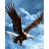 Wizardi Sky Conqueror Diamond Painting Kit