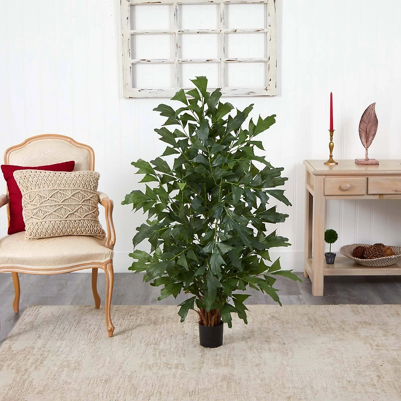 4.5ft. Potted Fishtail Palm Tree