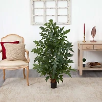 4.5ft. Potted Fishtail Palm Tree