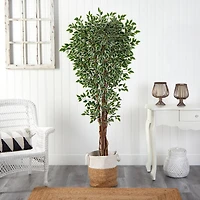 6ft. Variegated Ficus Tree in Handmade Natural Jute & Cotton Planter
