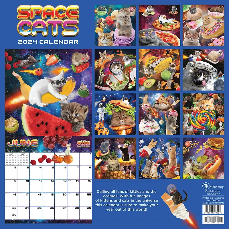 TF Publishing 2024 Space Cats Wall Calendar