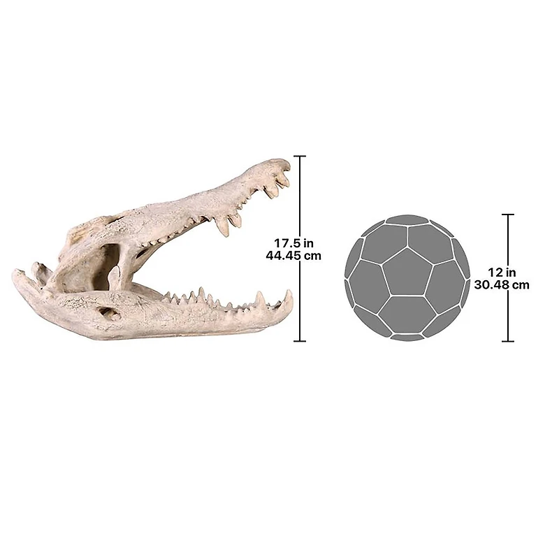 Design Toscano 28" Crocodile Skull Sculptural Artifact