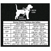 Spider Dog Costume by Ashland®