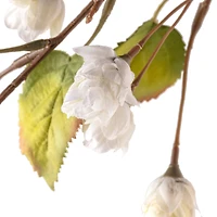 Cream Hops Spray by Ashland®