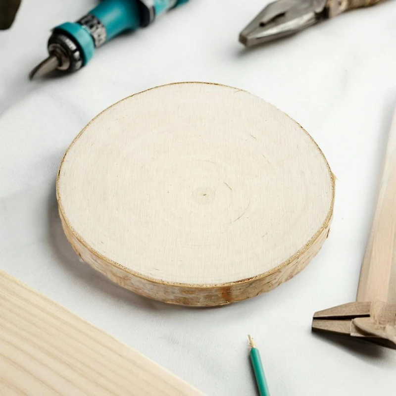 3.875" Birchwood Slices, 4ct. by Make Market®