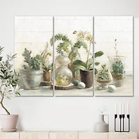 Designart - Greenhouse Orchids