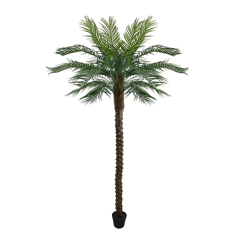 7.25ft. Potted Green & Brown Phoenix Palm Tree