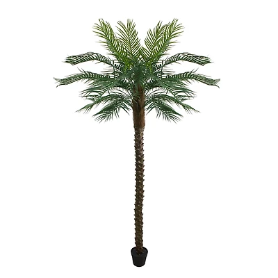 7.25ft. Potted Green & Brown Phoenix Palm Tree