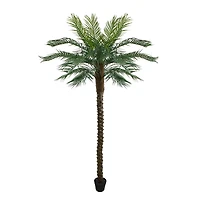 7.25ft. Potted Green & Brown Phoenix Palm Tree