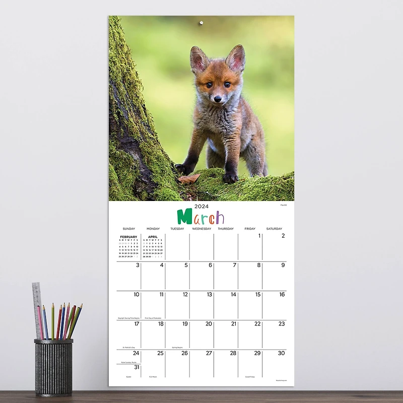 TF Publishing 2024 Baby Animals Wall Calendar