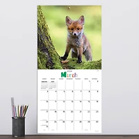 TF Publishing 2024 Baby Animals Wall Calendar