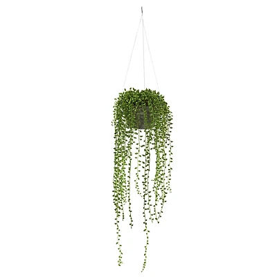 21" String of Pearl Hanging Basket