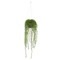 21" String of Pearl Hanging Basket