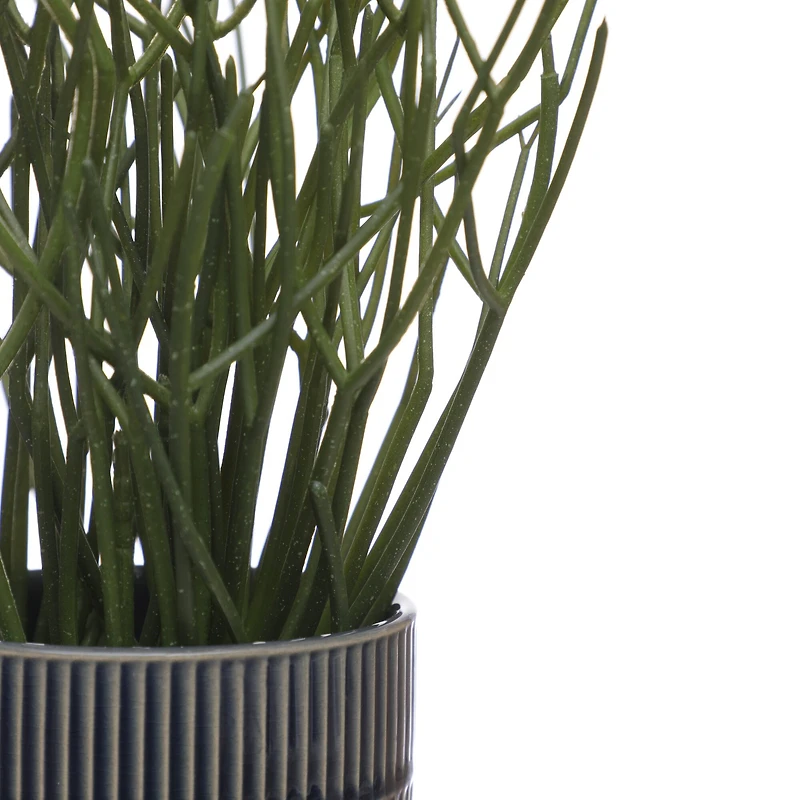 13" Pencil Cactus in Blue Ceramic Pot by Ashland®