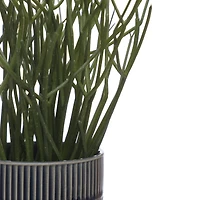 13" Pencil Cactus in Blue Ceramic Pot by Ashland®