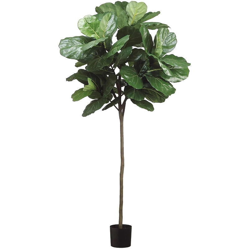 7ft. Fiddle Leaf Tree