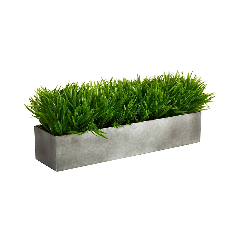 25" Wild Grass Plant in Metal Planter