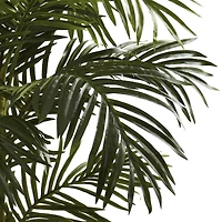 5ft. Potted Golden Cane Palm Tree