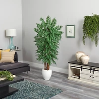 6ft. Parlor Palm Tree in White Planter
